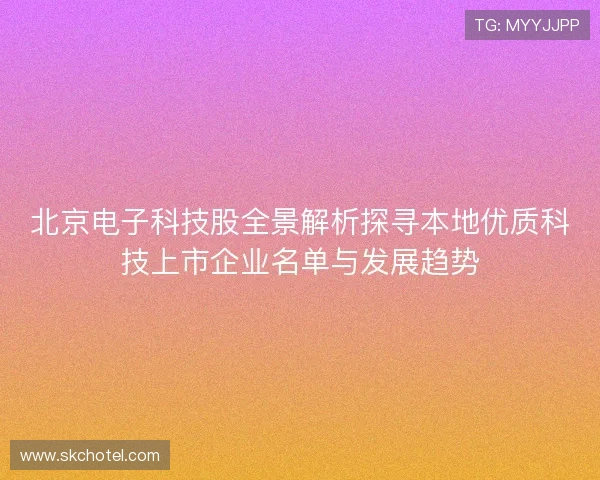北京电子科技股全景解析探寻本地优质科技上市企业名单与发展趋势
